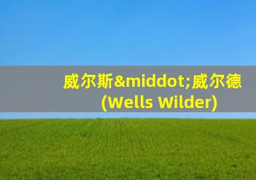 威尔斯·威尔德(Wells Wilder)